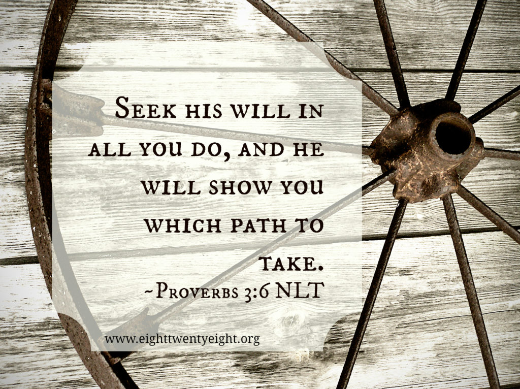 Seek God for the Paths